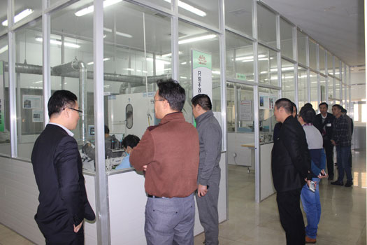 Bealead Sincerely Invited 361° Group and Youngor Group for Visit and Exchange in Changshu