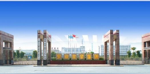 Series Report on Bealead’s Contractual Customers-Anhui Xingxing Garment Co., Ltd.